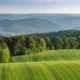 Gdzie jechać na weekend w Polsce? fot. wirestock/freepik.com